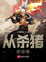 从杀猪到杀神 封面