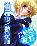 学园都市之颠倒法则 封面