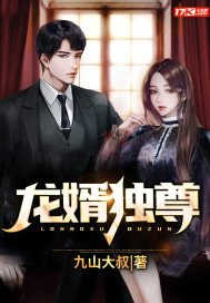 龙婿独尊 封面