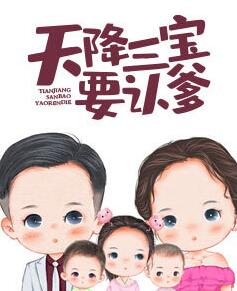 李辰赵蕊 封面